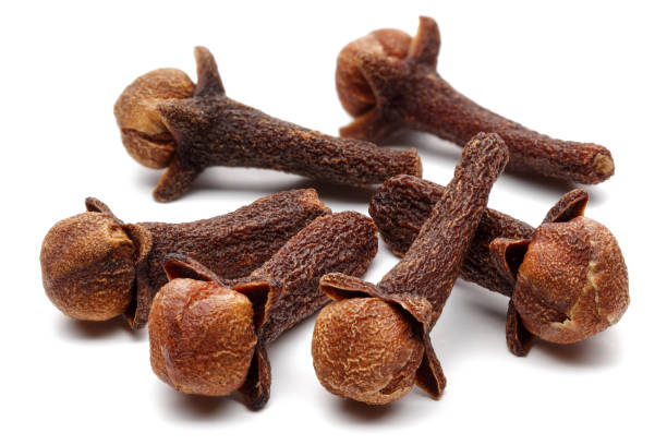 Dried clove buds isolated on white background. Macro, studio shot.